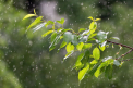 Ploi insotite de descarcari electrice in centrul si sudul tarii si maxime de pana la +28 de grade Celsius. Cum va fi vremea astazi, dar si in urmatoarele zile. Prognoza meteo - FOTO