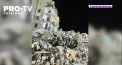 Un bloc de locuit cu cinci etaje din Donetk a fost lovit cu rachete de rusi. Cel putin 15 civili au fost ucisi si peste 20 ar putea fi prinsi sub daramaturi - VIDEO
