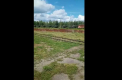 Armata rusa a scos din depozite alte tunuri autopropulsate 2S7 „Pion”: „Poate le duc la fier vechi” - VIDEO