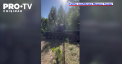 Blindatele antiaeriene Gepard de fabricatie germana au ajuns in sfarsit pe frontul din Ucraina dupa multe luni de promisiuni - VIDEO
