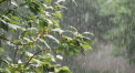 Va ploua in toata tara. Cum va fi vremea astazi, dar si in urmatoarele zile. Prognoza meteo - FOTO