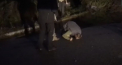 Au ingenunchiat si sarutat pamantul. Momentul in care prizonierii ucraineni, eliberati in schimbul politicianului prorus, Viktor Medvedciuk, sunt intampinati pe teritoriul Ucrainei - FOTO/VIDEO
