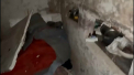 Descoperirea cutremuratoare facuta de ucraineni intr-o cladire din care se auzeau tipete, dupa alungarea rusilor - VIDEO