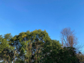 Vreme frumoasa in toata tara. Temperaturile vor ajunge pana la 20 de grade Celsius. Prognoza meteo - FOTO