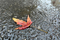 Vremea se raceste. Va ploua in toata tara. Ce temperaturi se vor inregistra astazi, dar si in urmatoarele zile. Prognoza meteo - FOTO