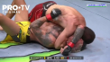 Luptatorul Islam Makhachev este noul campion al categoriei usoare din UFC. In cea mai asteptata lupta a galei din Abu Dhabi, rusul l-a invins, printr-un procedeu de strangulare, pe brazilianul Charles Oliveira, fostul detinator al centurei - VIDEO