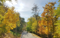 Vreme frumoasa in toata tara. Temperaturile vor ajunge pana la 22 de grade Celsius. Prognoza meteo - FOTO