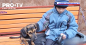 Un caine, care a fost salvat din ruinele unei cladiri in urma unui atac din Bahmut, acum a crescut si salveaza vieti - VIDEO