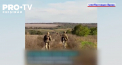 Ucraina isi recupereaza nu doar teritoriul, dar si mortii. In localitatile proaspat eliberate merg echipe speciale care cauta trupurile celor care au murit in timpul luptelor - VIDEO