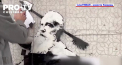 Vestitul artist britanic Banksy a distribuit un videoclip in care arata cum a creat graffiti pe peretii unor cladiri rezidentiale distruse din regiunea Kiev - VIDEO