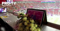 Moarte suspecta in Qatar. Un renumit jurnalist american a decedat in timp ce transmitea informatii de la un meci al Campionatului Modndial - VIDEO