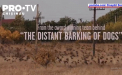 Un film despre copiii razboiului din Ucraina va concura in acest an la Oscar la categoria cel mai bun documentar de lungmetraj - “O casa facuta din aschii” - VIDEO