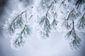 Ultima ora. Cod GALBEN de ingheturi in nordul tarii. Anuntul facut de meteorologi cu putin timp in urma