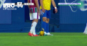 Papagal, la o partida din Portugalia. Arbitrul a intrerupt duelul din liga portugheza Under 23 pentru aproximativ doua minute - VIDEO