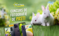 StarNet a lansat un concurs de fotografii cu premii in valoare de 5 000 de euro