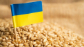Slovacia suspenda importurile de cereale si alte produse din Ucraina