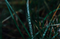 Cer noros si ploi slabe in toata tara. Cum va fi vremea astazi, dar si in urmatoarele zile. Prognoza meteo