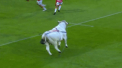 Intamplare inedita inaintea unui meci de rugby din Franta. Pe teren a intrat un taur, care a facut haos dupa ce s-a napustit asupra jucatorilor - VIDEO 