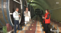 Wine Trips Romania - episod 8 | Alaturi de interpretul de muzica populara Gabriel Nebunu, la Chateau Comrat - VIDEO