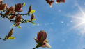 Vreme frumoasa in toata tara. Temperaturile vor ajunge pana la 24 de grade Celsius. Prognoza meteo