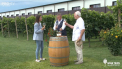 Wine Trips Romania - episod 9| Alaturi de compozitorul Eugen Doga, la Domeniile Davidescu - VIDEO