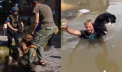 Echipe de voluntari ucraineni salveaza cainii si pisicile din ape, dupa inundatiile provocate de distrugerea barajului de langa Herson - FOTO/VIDEO