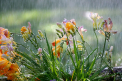 Cer variabil si ploi cu descarcari electrice in toata tara. Ce temperaturi se vor inregistra astazi, dar si in urmatoarele zile. Prognoza meteo
