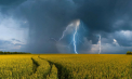 Ultima ora. Un nou cod GALBEN de ploi cu descarcari electrice si vant puternic. Anuntul facut de meteorologi cu putin timp in urma - FOTO