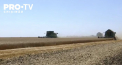 In Ucraina a inceput recoltarea graului de pe campurile deminate. Genistilor le-a luat luni intregi ca sa curete pamantul presarat cu munitii rusesti - VIDEO 