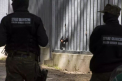 Polonia trimite mii de soldati la granita cu Belarus de frica mercenarilor Wagner