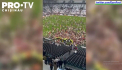 Suporterii au protestat impotriva transferului belgianului Romelu Lukaku - VIDEO