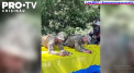  Ziua Drapelului National in Ucraina. La Kiev a fost arborat un drapel special si semnat de mai multi soldati ucraineni - VIDEO