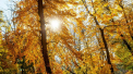 Cer variabil si maxime de 26 grade Celsius in sudul tarii. Cate grade se vor inregistra in urmatoarele zile. Prognoza meteo
