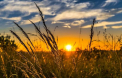 Cer variabil si maxime de 31 grade Celsius. Cum va fi vremea astazi, dar si in urmatoarele zile. Prognoza meteo