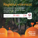 Ziua Nationala a Vinului – 2023: Vinul Nostru cucereste lumea. Descopera succesele inregistrate la nivel mondial