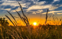 Cer varibil si maxime de 23 grade Celsius in sudul tarii. Cum va fi vremea in urmatoarele zile. Prognoza meteo