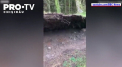 Imagini incredibile au fost surprinse in Scotia. In timp ce isi plimba cainele, un barbat a surprins cum pamantul este ridicat de vantul puternic - VIDEO