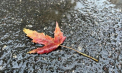 Ploi slabe in unele zone ale tarii. Ce temperaturi se vor inregistra astazi, dar si in urmatoarele zile. Prognoza meteo