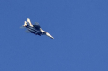 Seful fortelor aeriene ale Hamas a fost ucis intr-un raid aerian in Gaza, afirma armata israeliana si Shin Bet