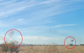 Explozii puternice la Odesa. Patru persoane au fost ranite, iar cladirea administrativa si echipamentele, avariate - FOTO/ VIDEO