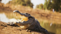 Un barbat atacat de un crocodil a scapat dupa ce a muscat din greseala reptila. „Era destul de groasa, dar am tras de ea”

