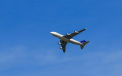 Un pasager a fost arestat dupa ce a fost pus sa completeze un formular la bordul avionului. Ce a scris in document