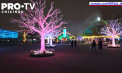 Strazile din Londra, Tokyo si New York s-au umplut de luminite, iar la Bruxelles a fost instalat  pomul de Craciun - VIDEO