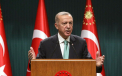 Erdogan: Turcia se va implica in reconstructia Gaza, daca se va ajunge la o incetare a focului
