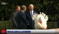 Joe Biden, o noua gafa la ceremonia de gratiere a curcanilor. Americanii, ingrijorati cu privire la varsta presedintelui - VIDEO