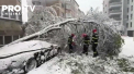 In sase judete din Romania furtuna de zapada a facut prapad. Rafalele puternice de vant au scos copaci din radacini, iar unii arbori au cazut peste automobilele parcate - VIDEO