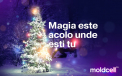 De sarbatori, Moldcell vine cu oferte Magice pentru toti abonatii 