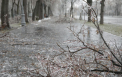Lapovita si ninsoare in toata tara. Cum va fi vremea astazi, dar si in urmatoarele zile. Prognoza meteo 