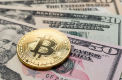 Bitcoin a depasit marti 43.000 de dolari pe unitate, prima oara din aprilie 2022
