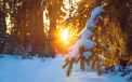 Vreme friguroasa: termometrele vor indica minus 5 grade Celsius. Ce temperaturi se vor inregistra in urmatoarele zile. Prognoza meteo 